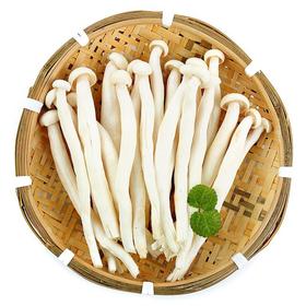 海鲜菇250g/份