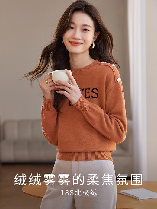 【年终特卖】熙世界提花字母毛衣女套头圆领软糯北极绒打底针织衫2025秋冬款 商品图2