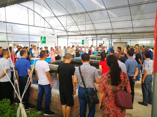 88.如何搭建鱼菜共生农场互联网销售体系？ 商品图0