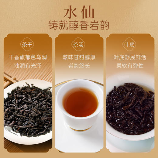 华祥苑-37.8g贵宾茶综合品鉴装 (大红袍/肉桂/水仙/清铁/红茶各1泡) 商品图10
