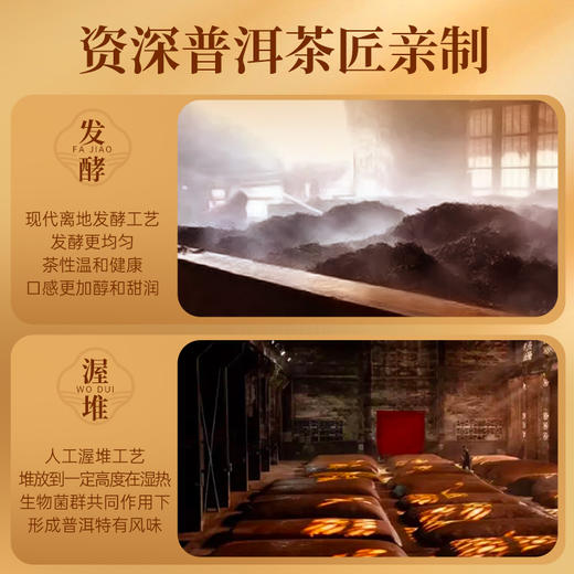 【赠试泡茶】华祥苑-云南勐海普洱熟茶小金砖礼盒300g(56砖） 商品图8