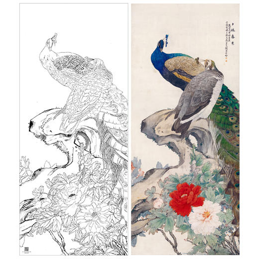【大彩图】刘奎龄工笔画白描底稿《孔雀牡丹图》临摹勾线花鸟线稿HN17 商品图0