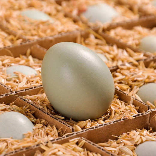 【严选】宜昌农夫乡情农家橘林散养绿壳鸡蛋（厂家直发） 商品图2