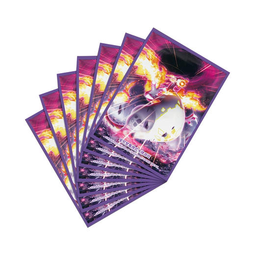 宝可梦艺术卡套 喷火龙TOKC833158 商品图0