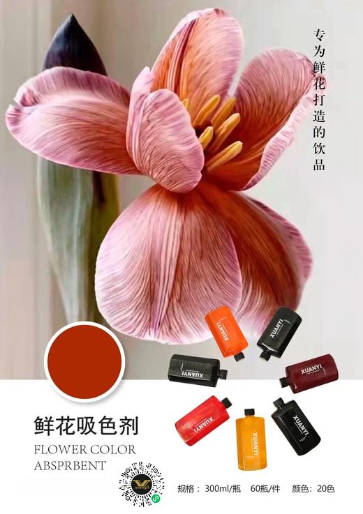 鲜花吸色剂染色剂 商品图5
