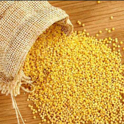 睿立散装红谷小米1000g/袋 商品图0