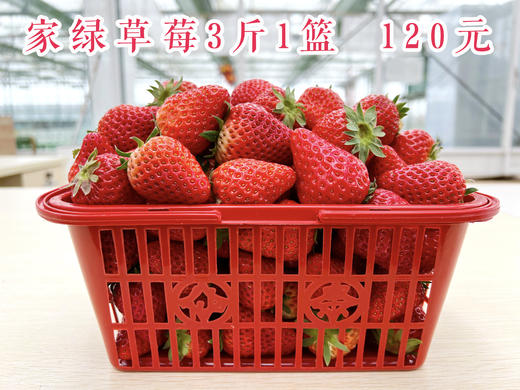 3斤草莓 农场新鲜采摘 门店自提 商品图0