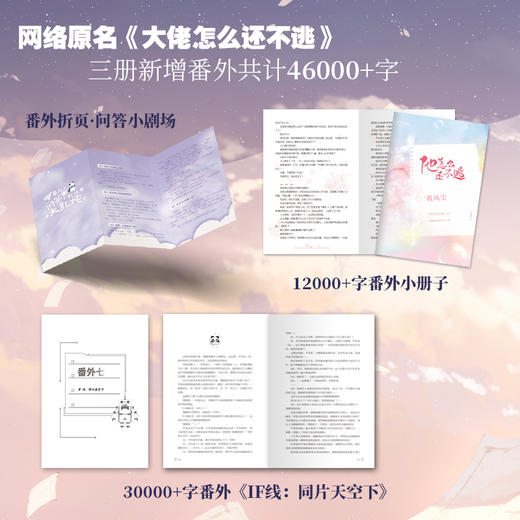 他怎么还不逃（全3册）（原名《大佬怎么还不逃》） 商品图4