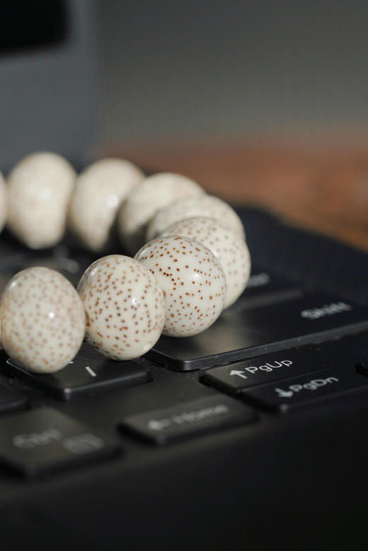 心中的星月｜菩提子 商品图6