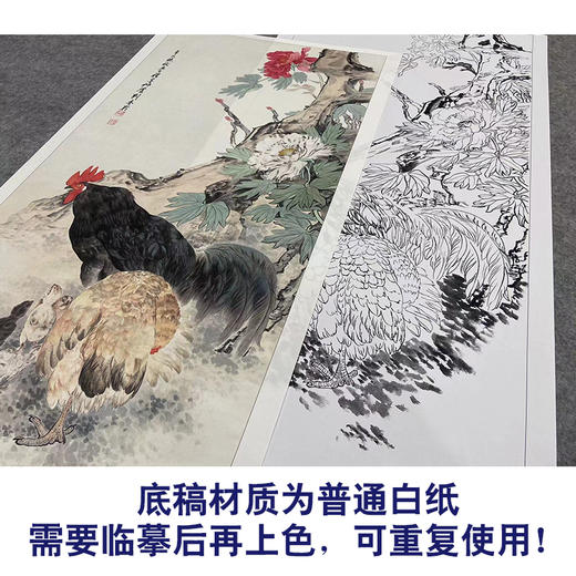 【大彩图】刘奎龄工笔画白描底稿《鸡鸣富贵图》公鸡牡丹临摹勾线花鸟线稿HN22 商品图3