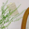 绿玲草丨配草 商品缩略图2