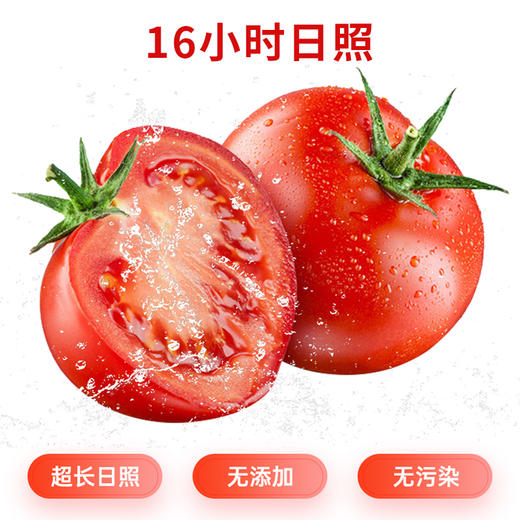 新康有机西红柿块新疆自然成熟无添加 超长日照营养丰富 富含番茄红素 商品图3