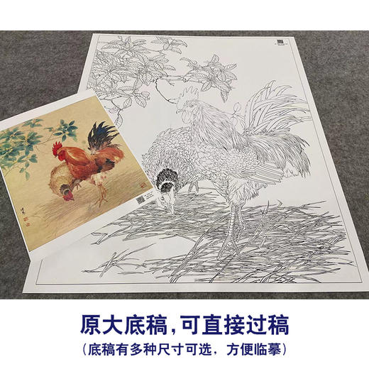 【大彩图】邹传安工笔画白描底稿小品《两心合影共依依》公鸡临摹勾线花鸟线稿HN28 商品图1