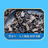 【严选】绿帝年货送礼佳品 山海臻选礼盒523g（厂家直发） 商品缩略图8