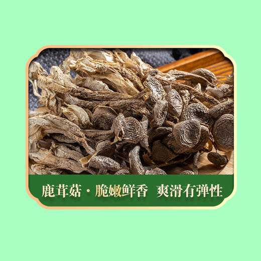 【严选】绿帝山肴佳品菌菇类礼盒490g（厂家直发） 商品图2