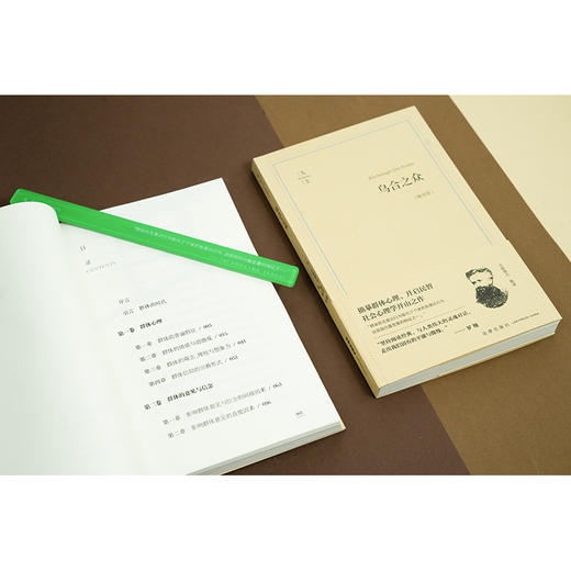 乌合之众（畅享版）(法)古斯塔夫·勒庞著 陈昊译 法律出版社 商品图2