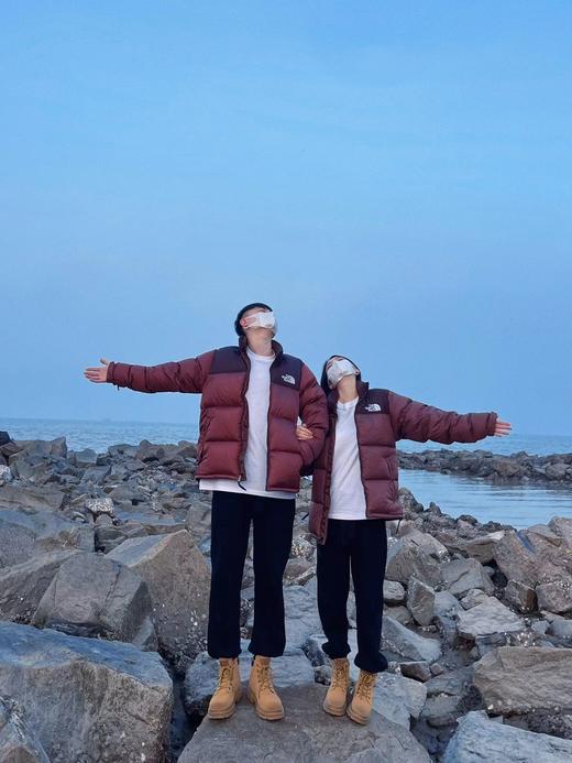 御寒必备TNF1996经典700篷400g鹅绒御寒鹅绒羽绒服 商品图5