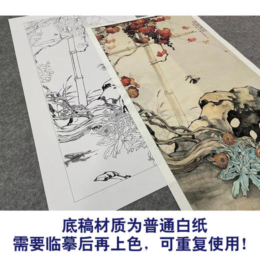 【大彩图】刘奎龄工笔画白描底稿《花蝶葡萄图》临摹勾线花鸟线稿HN21 商品图3