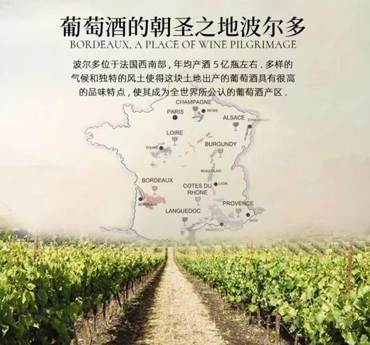 【礼赠爆款】法国原装进口 红酒 拉图蓝黛庄园干红葡萄酒14.5度750ml*2 礼盒装带开瓶器 商品图1