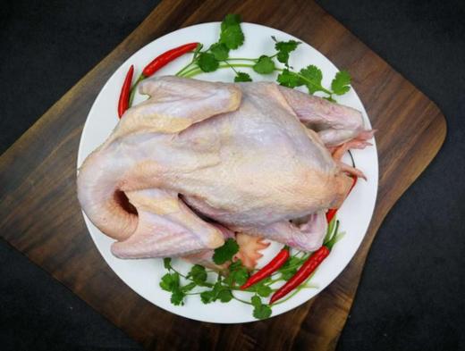 北京油鸡+油鸡童子鸡周期配送 商品图1