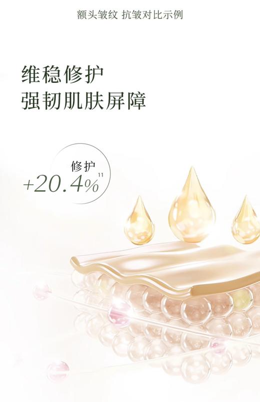 林清轩山茶花面部抗皱精华油50ml 商品图2