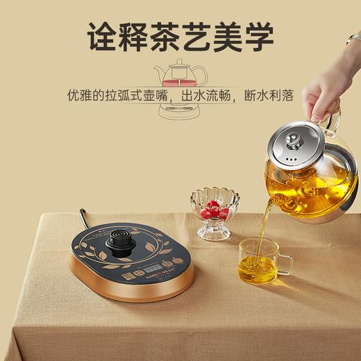 金灶A-99蒸汽喷淋煮茶器全自动玻璃茶壶电热水壶小型家用煮茶壶 商品图7