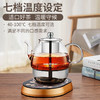 金灶A-99蒸汽喷淋煮茶器全自动玻璃茶壶电热水壶小型家用煮茶壶 商品缩略图5