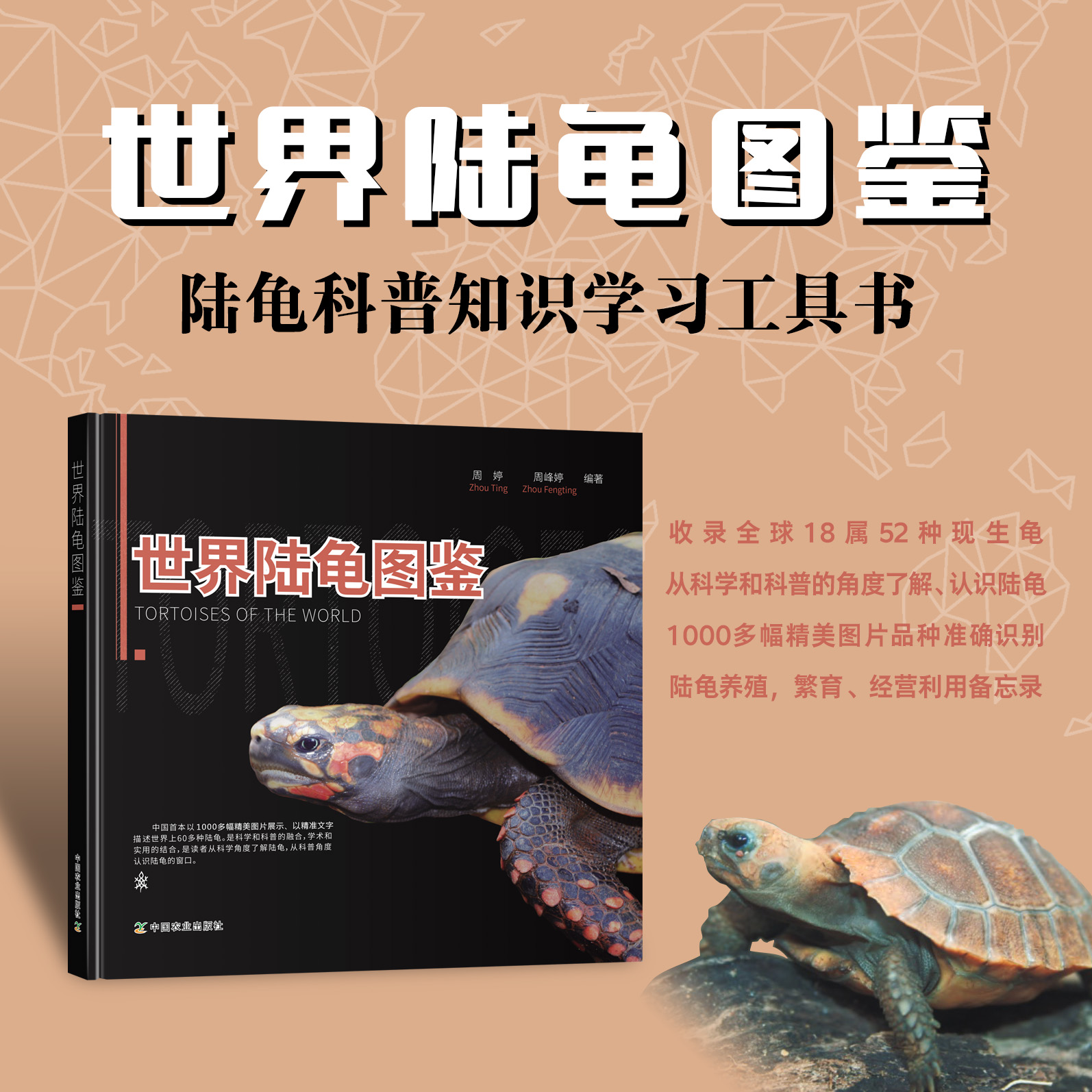 世界陆龟图鉴 【中国农业出版社官方正版】