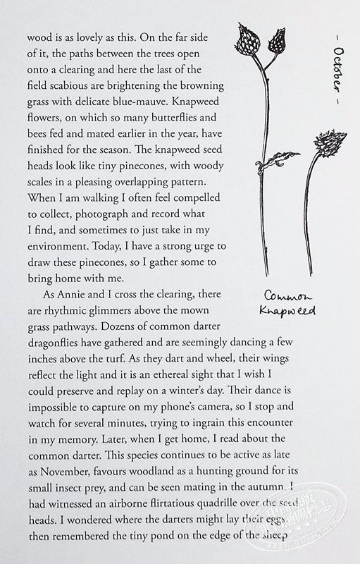 【中商原版】大自然治好了我的抑郁症 英文原版 The Wild Remedy How Nature Mends Us Emma Mitchell 365天荒野治愈手记 商品图5