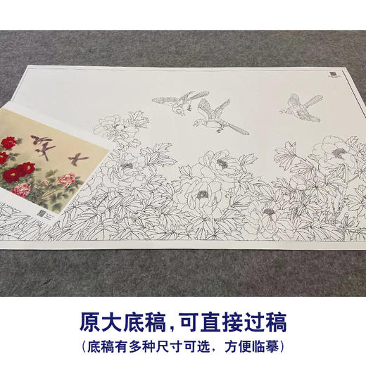 【大彩图】张建军横幅工笔画白描底稿《花好月圆》牡丹临摹勾线花鸟线稿HN25 商品图1