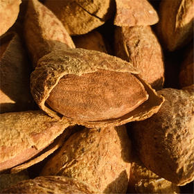 【2025年新货！奶香巴旦木】果壳薄，果肉饱满，颗粒大，入口香酥。180g/罐，全场满88元江浙沪皖顺丰包邮~