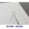 【大彩图】谢稚柳工笔画白描底稿红叶临摹勾线花鸟线稿HN24 商品缩略图4