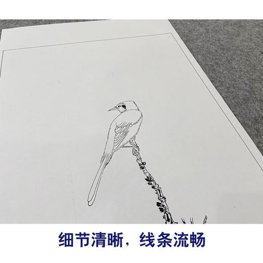 【大彩图】谢稚柳工笔画白描底稿红叶临摹勾线花鸟线稿HN24 商品图4