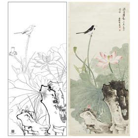 【大彩图】谢稚柳工笔画白描底稿荷花临摹勾线花鸟线稿HN23