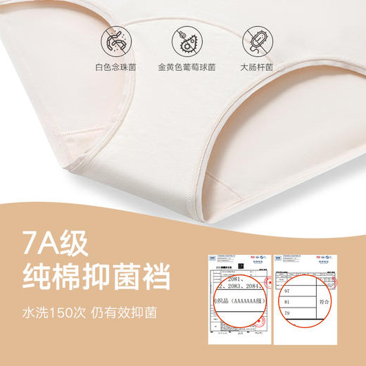 【3条装】弗利少女新疆棉内裤纯棉裆部新款中腰短裤三角裤女 商品图1