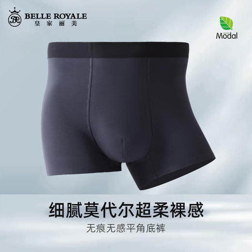 【99元4条，下单拍4】新款莫代尔男士平角裤透气裤头衩短裤DKN1204 商品图0