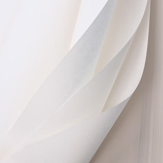 【庆学堂】山水/花鸟/人物宣纸  四尺整张 国画专用宣纸   100张/包 商品图3