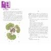 【中商原版】小王子 80周年纪念版 Little Prince 英文原版 儿童经典文学名著 进口儿童读物7岁+ 全彩插图小初文学 精美礼品版 商品缩略图2