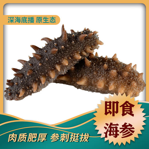 深海野生即食辽刺参海参免泡发（7-12头）【原产地直发】）买三斤送半斤 商品图0