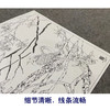 【大彩图】邹传安工笔画白描底稿小品《春酣》海棠花临摹勾线花鸟线稿HN27 商品缩略图4