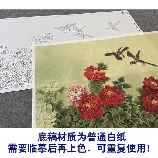 【大彩图】张建军横幅工笔画白描底稿《花好月圆》牡丹临摹勾线花鸟线稿HN25 商品图3