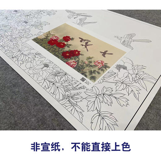 【大彩图】张建军横幅工笔画白描底稿《花好月圆》牡丹临摹勾线花鸟线稿HN25 商品图2