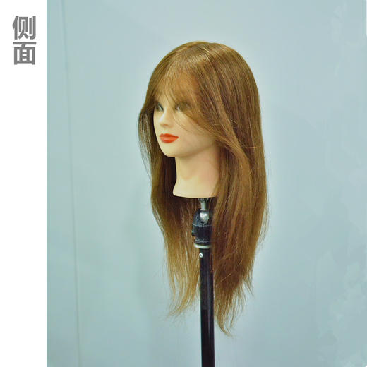 加厚全真发20寸头模 商品图1