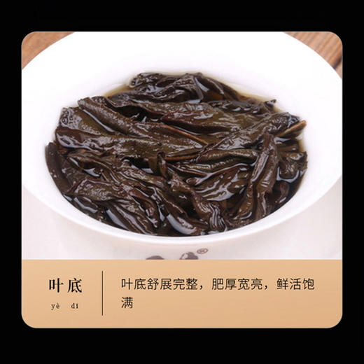 【武夷岩茶 特级老枞水仙】非遗传承 手工制作 通透明亮 商品图6