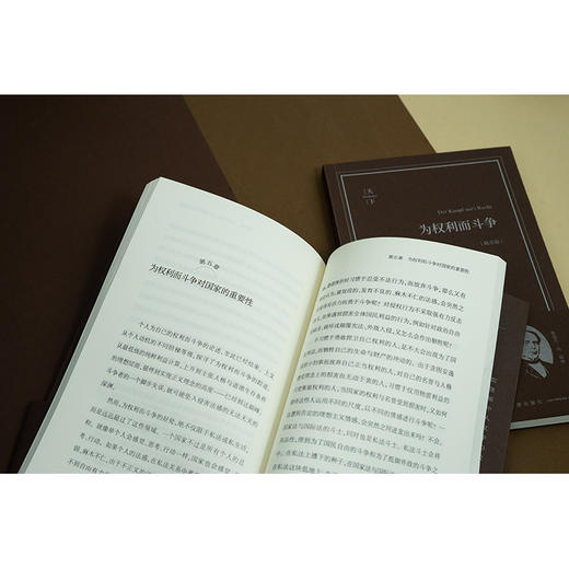 为权利而斗争（畅享版）（德）鲁道夫·冯·耶林著 刘权译 法律出版社 商品图2