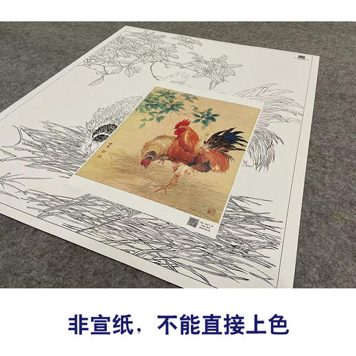 【大彩图】邹传安工笔画白描底稿小品《两心合影共依依》公鸡临摹勾线花鸟线稿HN28 商品图2