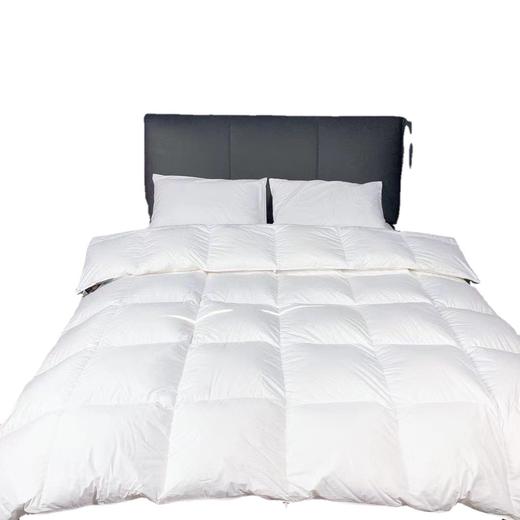 羽绒被 商品图0