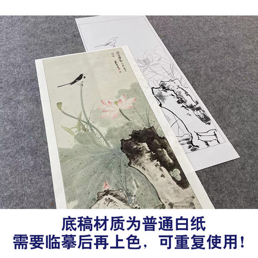 【大彩图】谢稚柳工笔画白描底稿荷花临摹勾线花鸟线稿HN23 商品图3