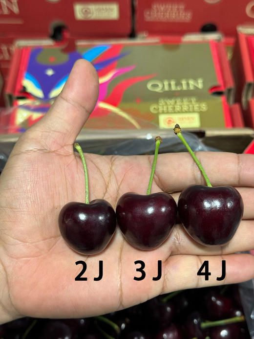 智利空运车厘子 商品图2