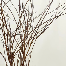 干枝雪柳  若干支/扎 以实物为准 云南基地发货（价格已包含包装费用） 运费以实际为准，多退少补。